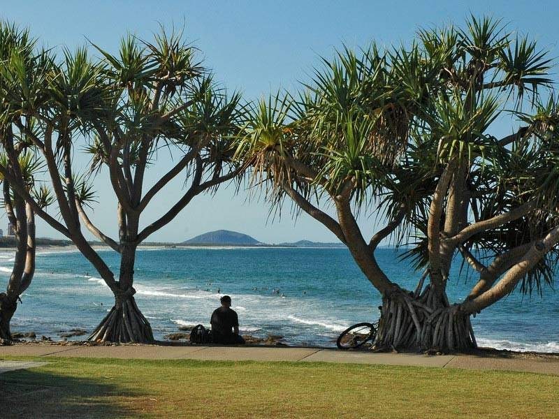 Alexandra Headland QLD 4572