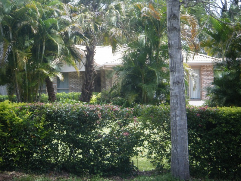 Mooloolah Valley QLD 4553