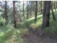 Ilkley QLD 4554