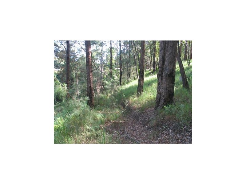Ilkley QLD 4554