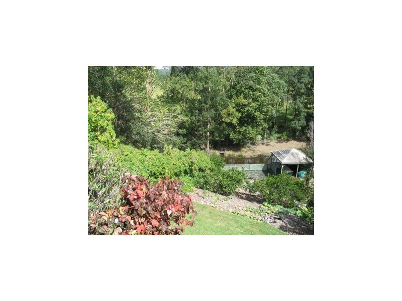 115 Neill, Mooloolah Valley QLD 4553