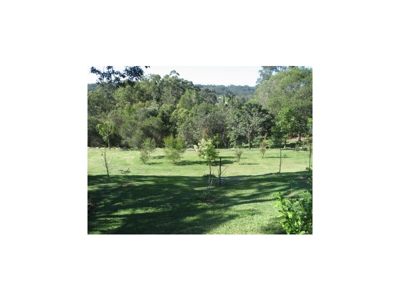 Mooloolah Valley QLD 4553