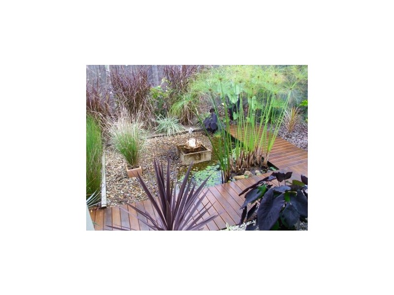 Mooloolah Valley QLD 4553