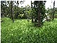 Mooloolah Valley QLD 4553