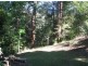 Mooloolah Valley QLD 4553