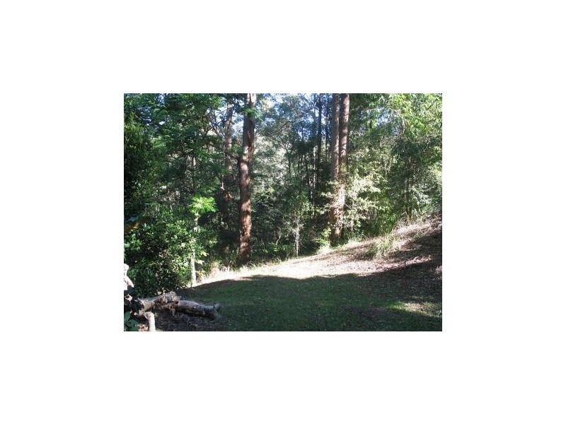 Mooloolah Valley QLD 4553