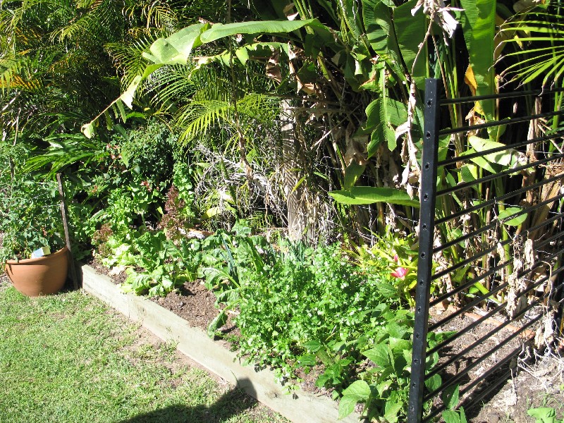 Mooloolah Valley QLD 4553