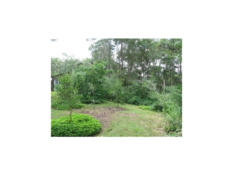 Mooloolah Valley QLD 4553