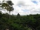 Mooloolah Valley QLD 4553