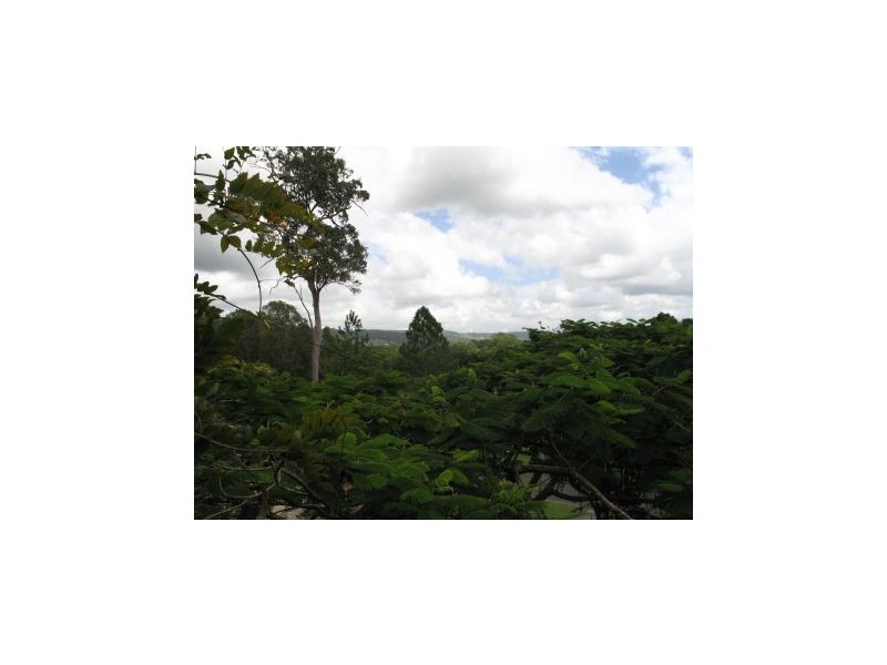 Mooloolah Valley QLD 4553