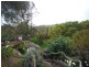 53 Riverview Terrace, Dartmoor VIC 3304