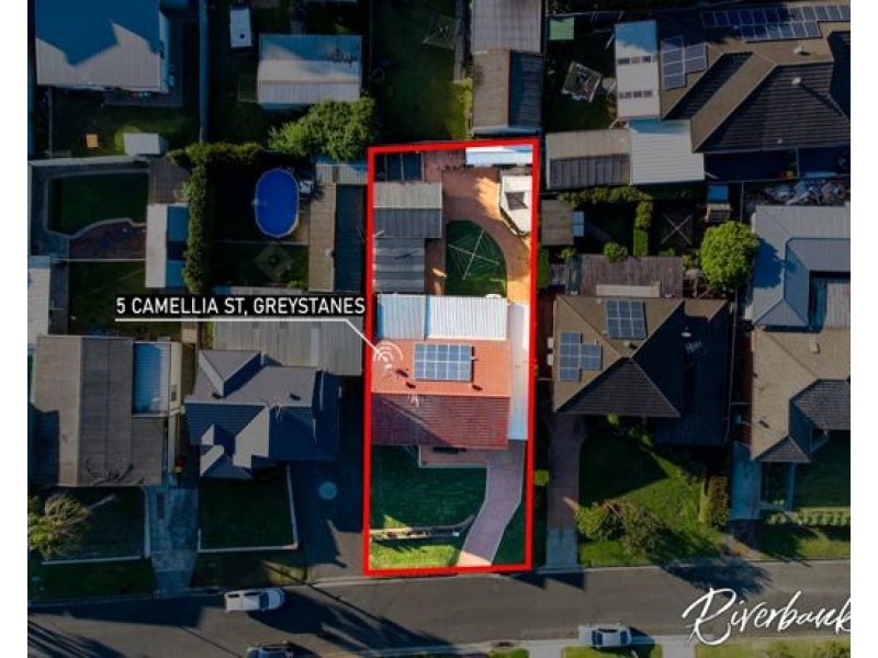 5 Camellia Street, Greystanes NSW 2145