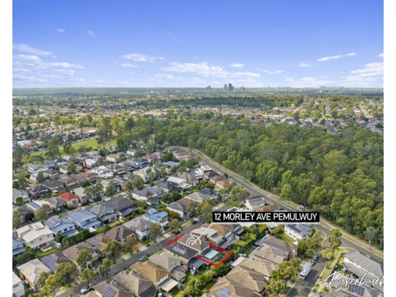 12 Morley Avenue, Pemulwuy NSW 2145