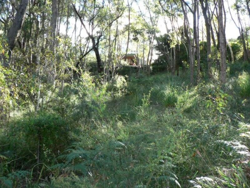 17 John Street, Hazelbrook NSW 2779