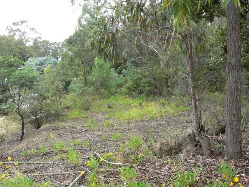 Lawson NSW 2783