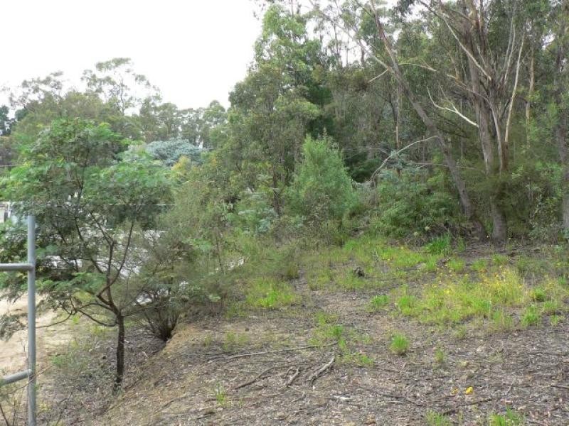 Lawson NSW 2783