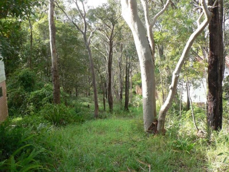 19 Alexander Avenue, Hazelbrook NSW 2779