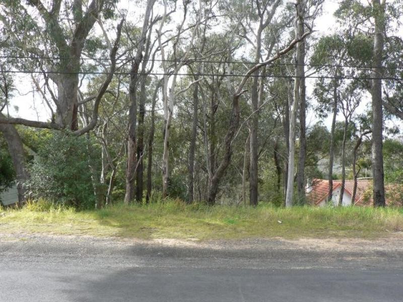 19 Alexander Avenue, Hazelbrook NSW 2779