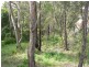 19 Alexander Avenue, Hazelbrook NSW 2779