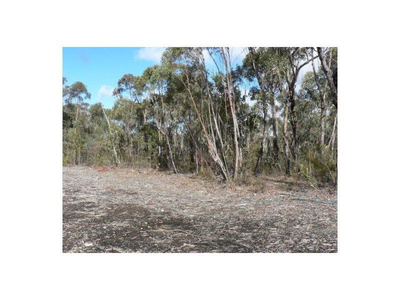 9 Badham St, Faulconbridge NSW 2776