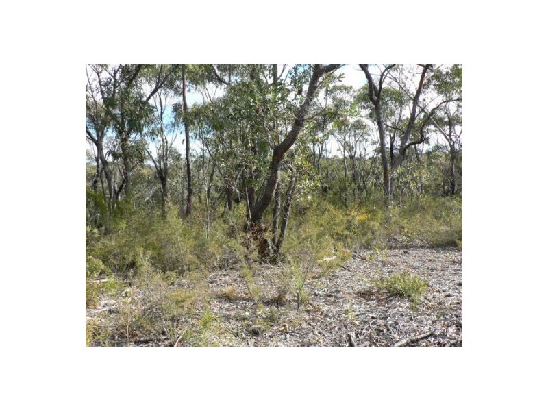 9 Badham St, Faulconbridge NSW 2776