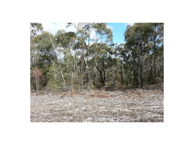 9 Badham St, Faulconbridge NSW 2776