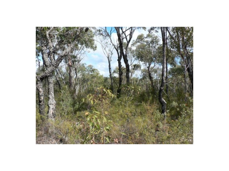 9 Badham St, Faulconbridge NSW 2776
