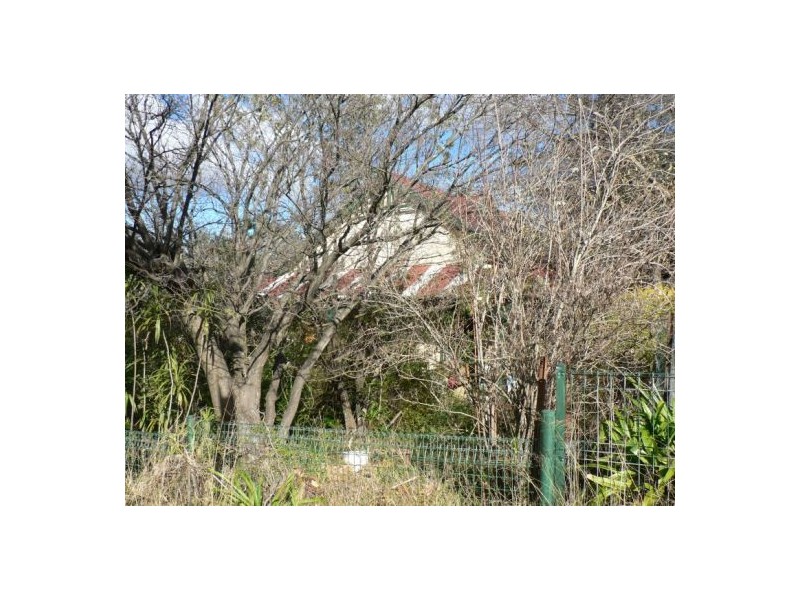 31 Mary, Lawson NSW 2783