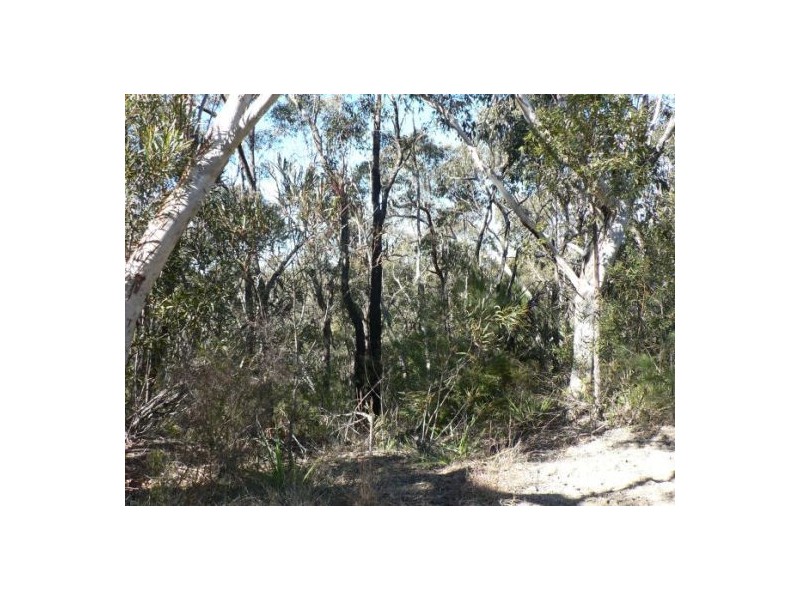 135-171 Park, Woodford NSW 2778