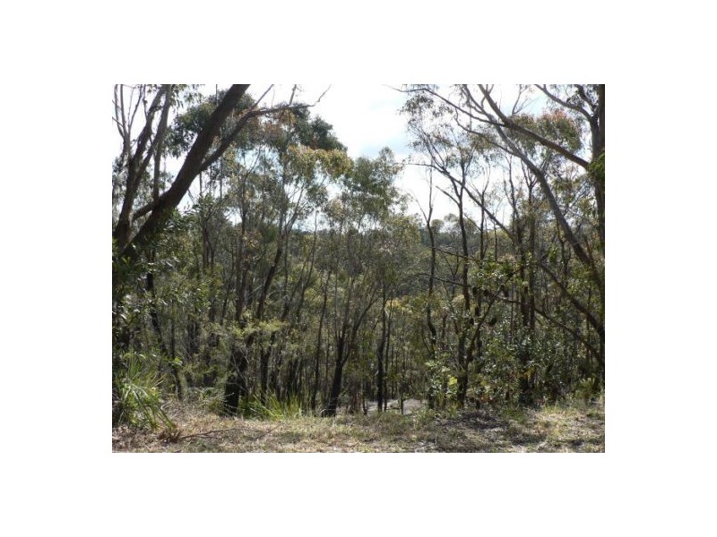 14 Hovea Pl, Woodford NSW 2778