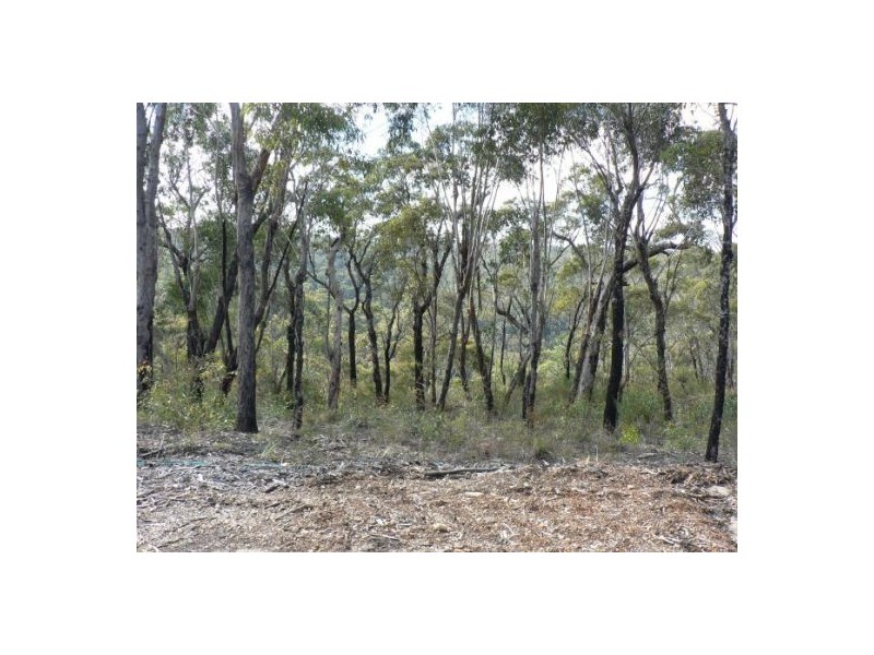 10 Badham, Faulconbridge NSW 2776