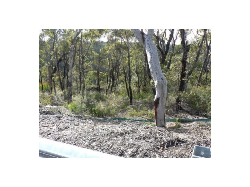 10 Badham, Faulconbridge NSW 2776