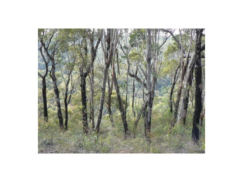 10 Badham, Faulconbridge NSW 2776