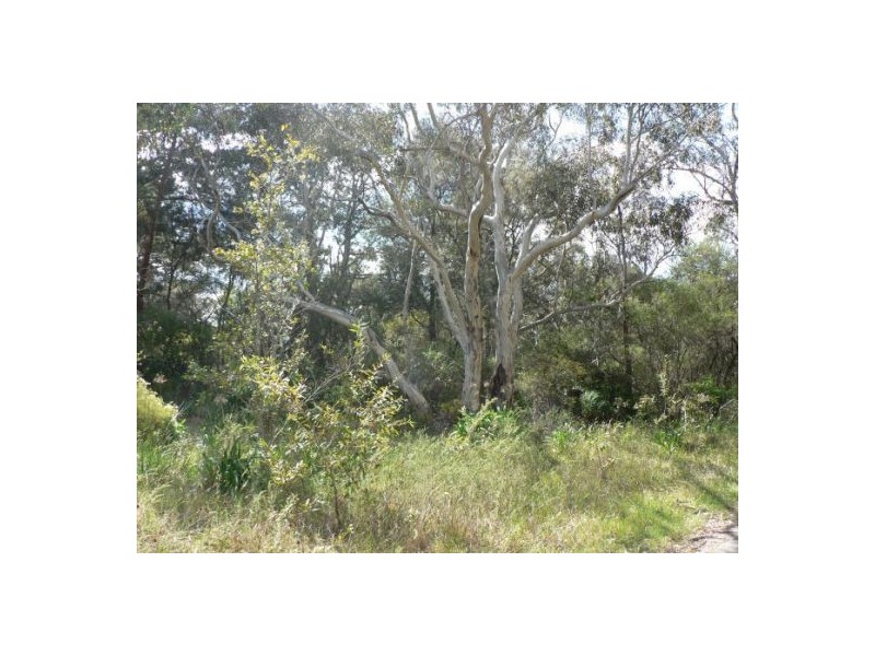 5 Ridge Street, Woodford NSW 2778