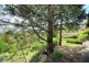 36 Hilltop Ave, Hazelbrook NSW 2779