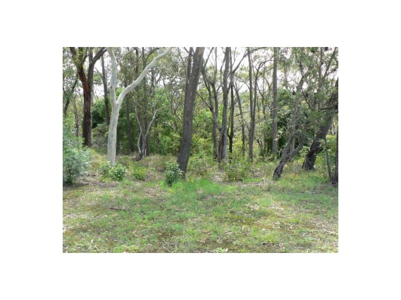 2 Careya Cr, Woodford NSW 2778