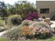 10 Blue Pacific Road, Deception Bay QLD 4508