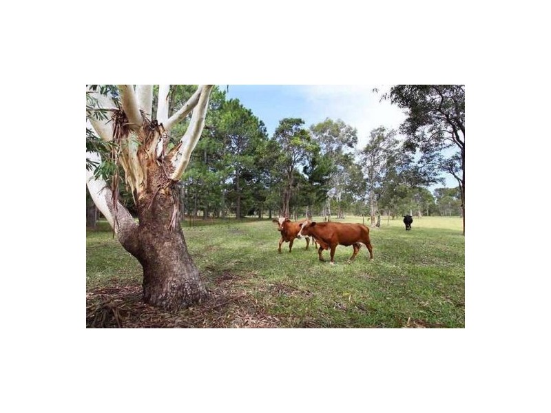 381 Bishop Road, Beachmere QLD 4510