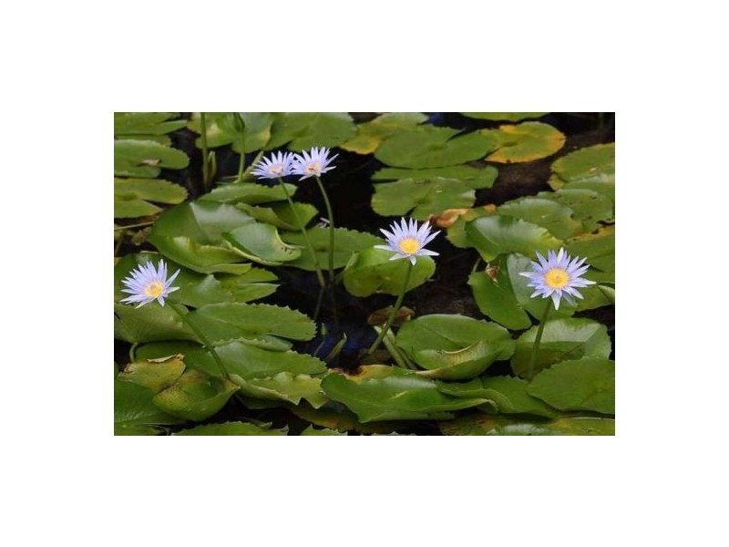 381 Bishop Road, Beachmere QLD 4510