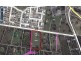 45 Anderson Road, Morayfield QLD 4506