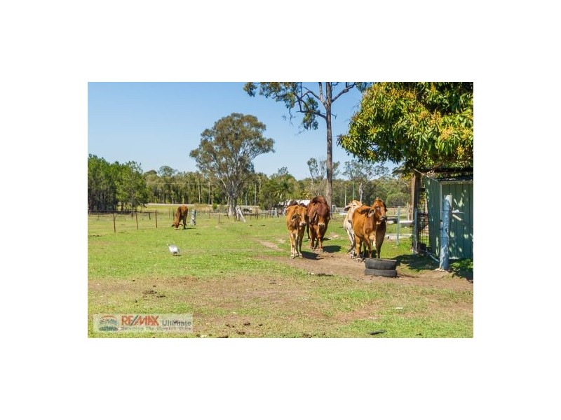 13 Ruatoka Court, Burpengary QLD 4505