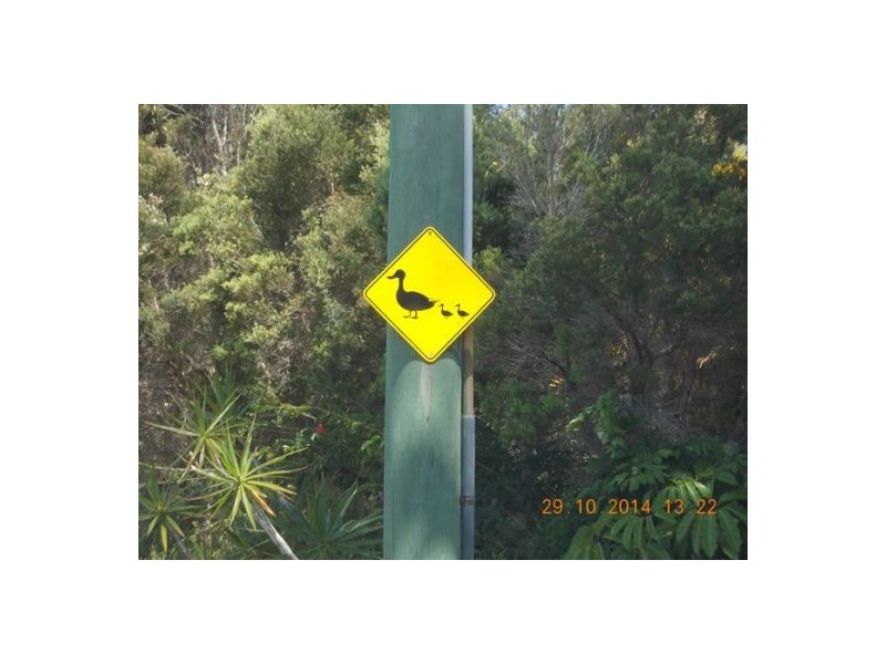 157-163 Rivergum Drive, Burpengary QLD 4505
