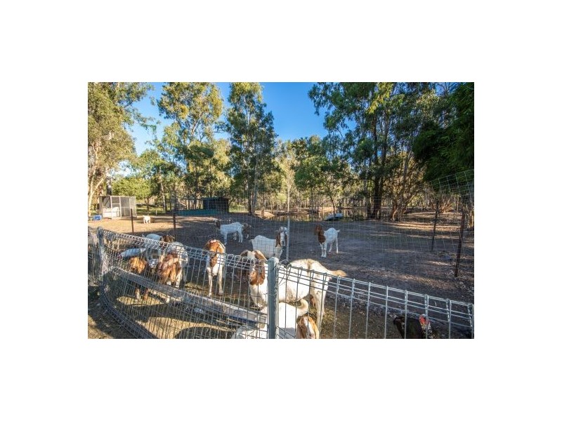 597 Bestmann Road, Ningi QLD 4511
