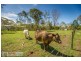20 Blue Pacific Road, Deception Bay QLD 4508