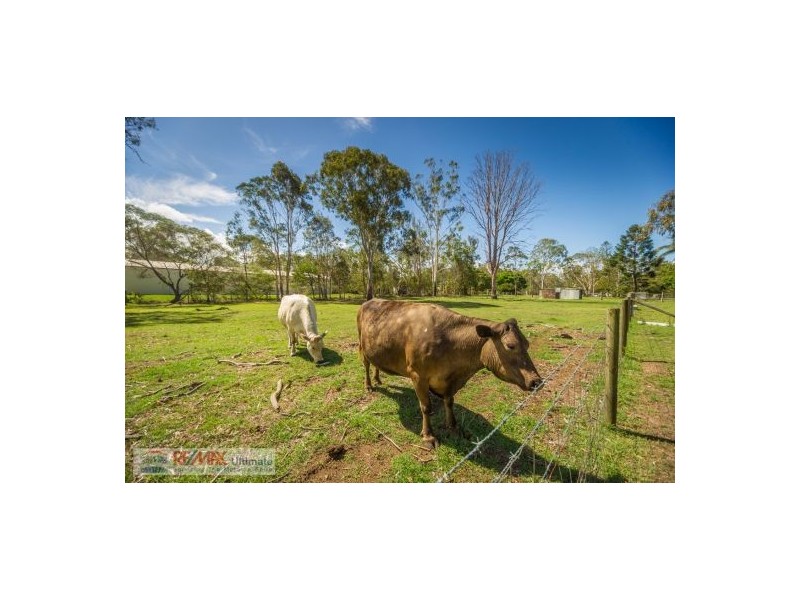 20 Blue Pacific Road, Deception Bay QLD 4508