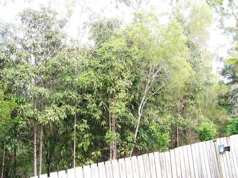 4 Riverpark Ct, Bellmere QLD 4510