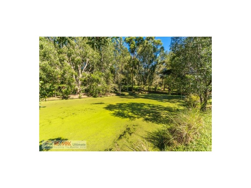 38 Forestcreek Place, Wamuran QLD 4512
