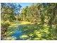 38 Forestcreek Place, Wamuran QLD 4512