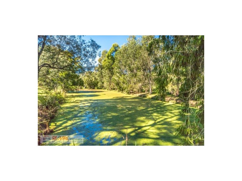 38 Forestcreek Place, Wamuran QLD 4512