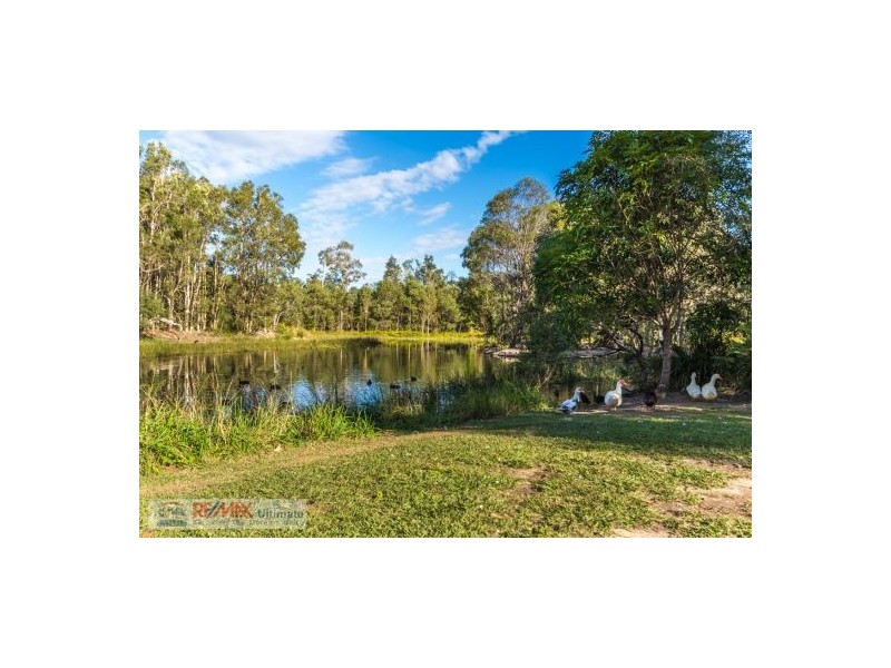 43-47 Cocos Drive, Ningi QLD 4511